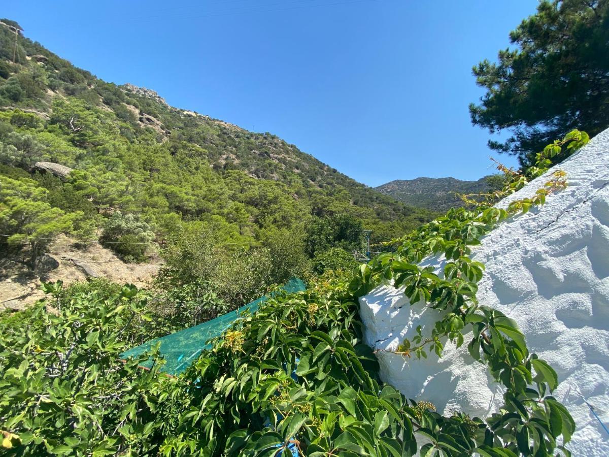 Oleander'S Garden Traditional Cretan Cottage Ferma Exterior foto