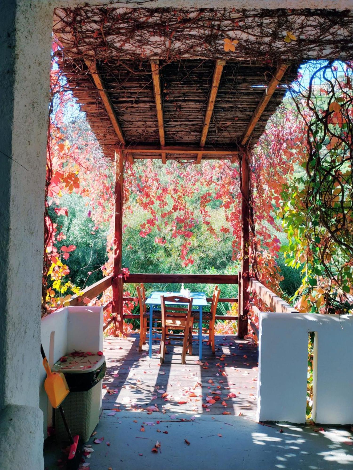 Oleander'S Garden Traditional Cretan Cottage Ferma Exterior foto