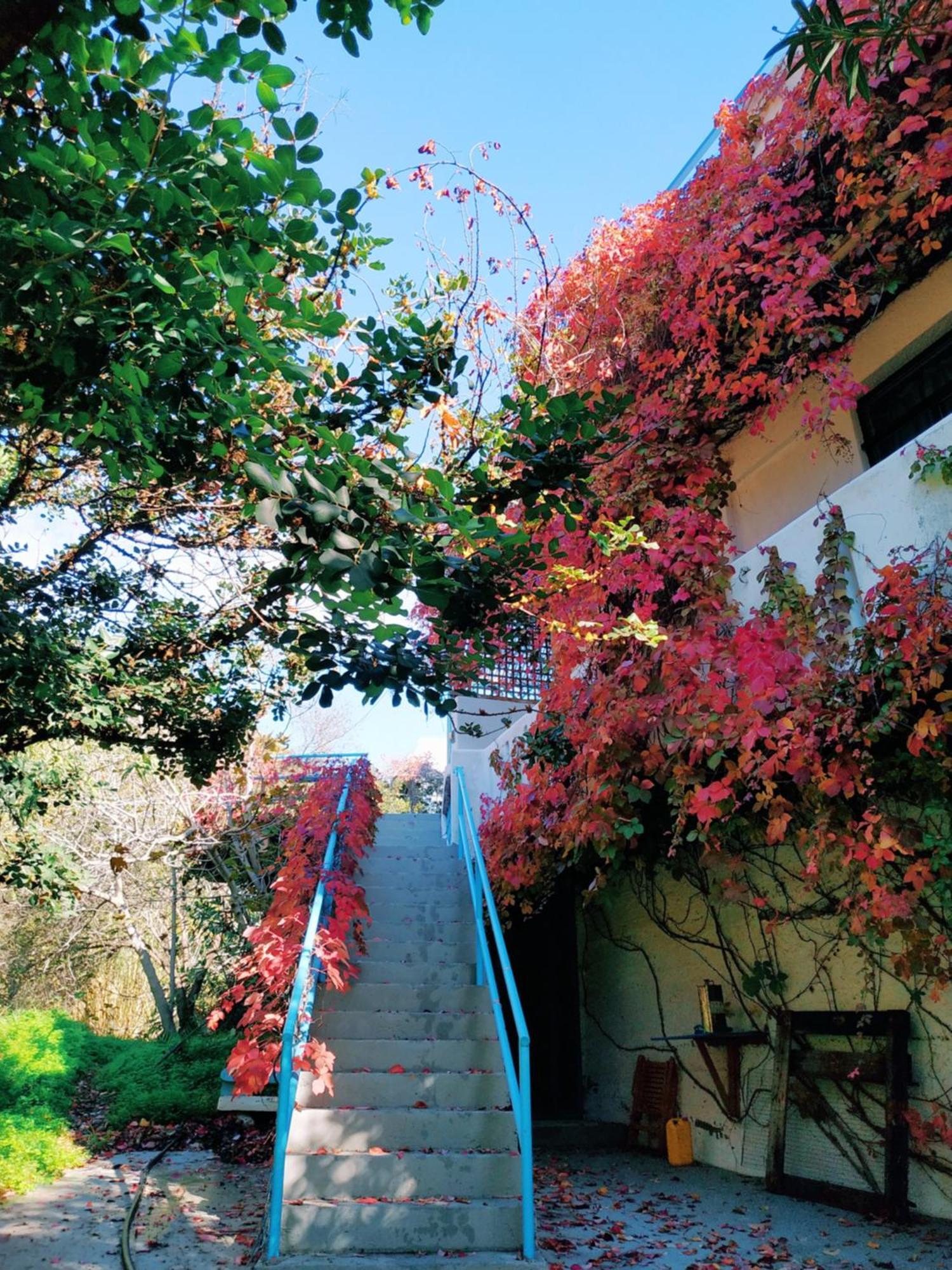 Oleander'S Garden Traditional Cretan Cottage Ferma Exterior foto