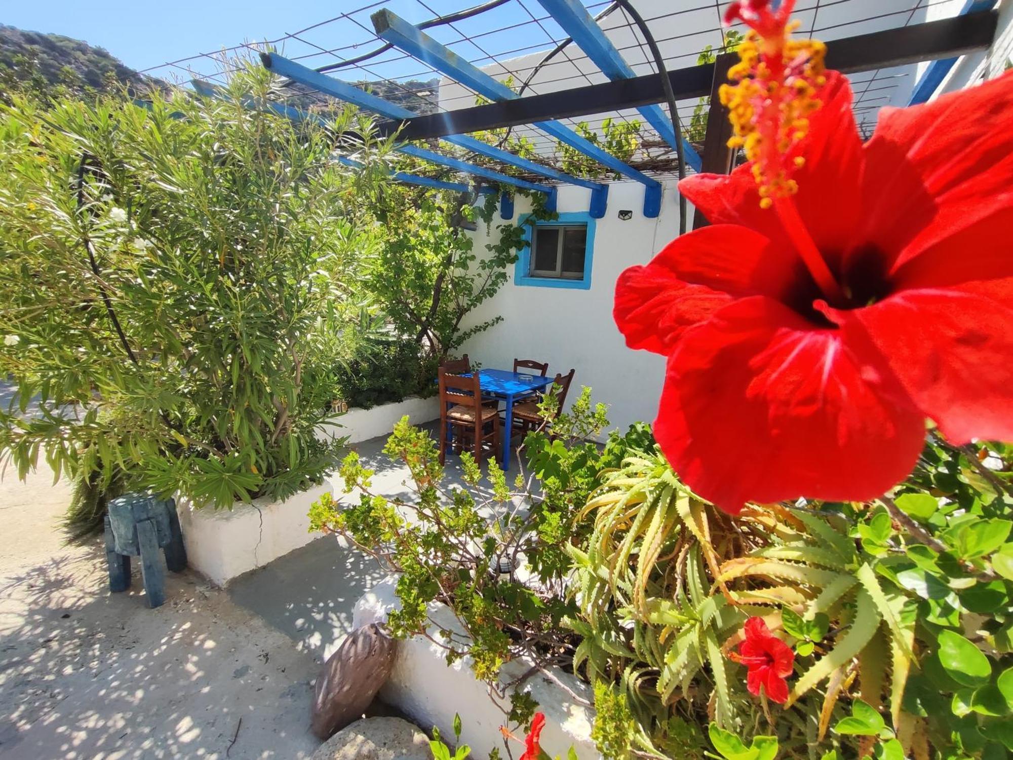 Oleander'S Garden Traditional Cretan Cottage Ferma Exterior foto